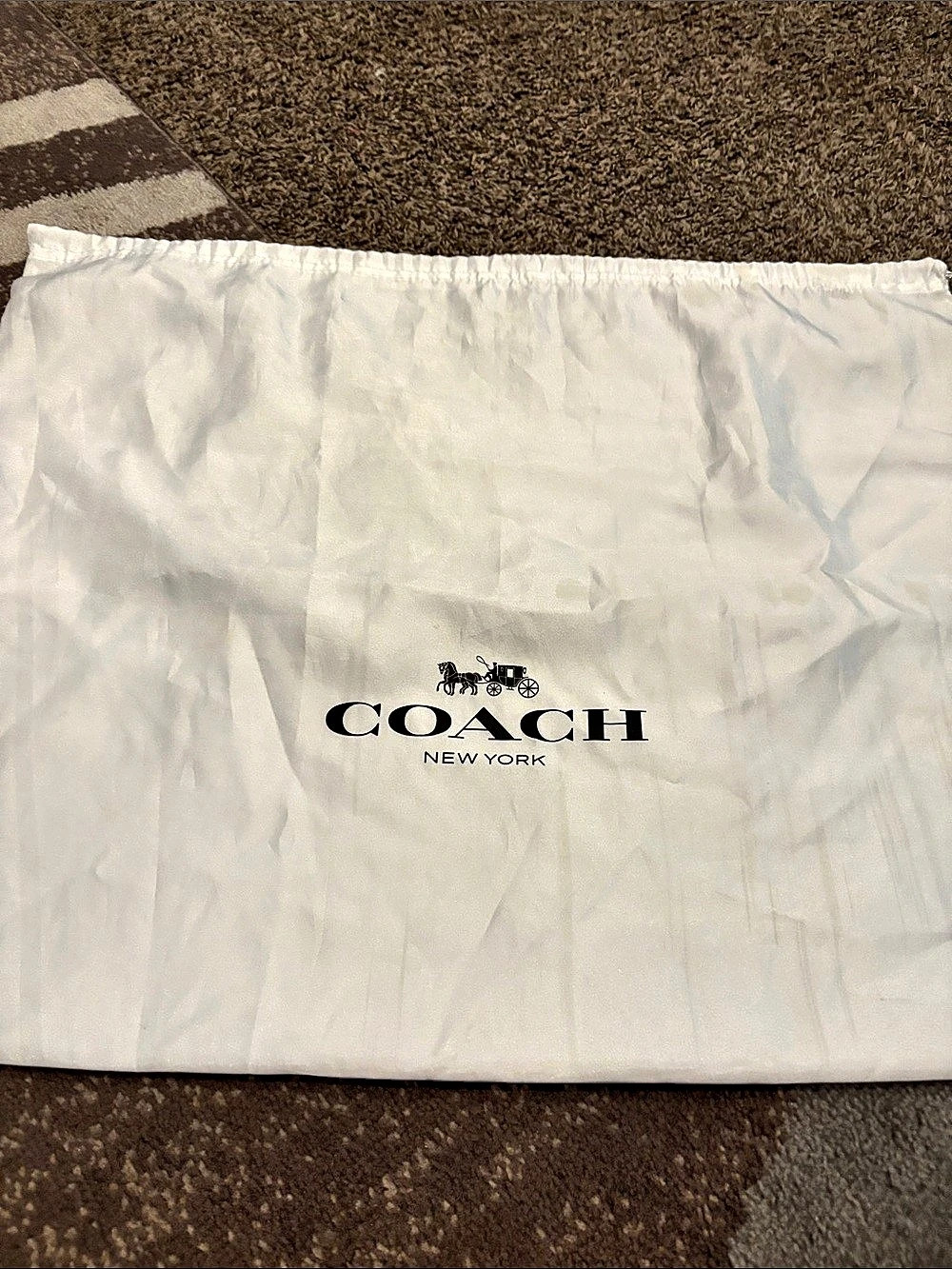 Coach Travel Dust Bag in White